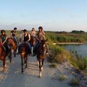 Land ODT: Horse Riding in Israel.