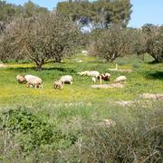 סדנת פרמקלצ'ר לילדים: בניית קומפוסטר אקולוגי בנצילות גבוהה, מחומר אורגאני או ממוחזר