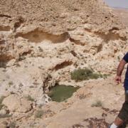Nahal Lots Sagi Karkom Off road 4x4 jeep tours. טיול ג'יפים להר כרכום, נחל לוץ והר שגיא