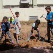 סדנאות, חוגים, קורס בקיימות, פרמקלצ'ר, חקלאות וגינון לילדים 